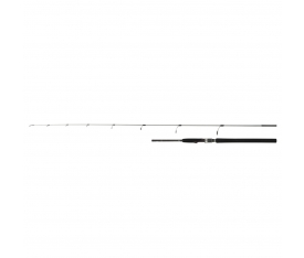 Rod Speedmaster R Jigging Spin 1,68m 5'6" 250g 2pc