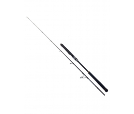 Ryuji Seawolf 1.98m 150-250gr 2P Jig Olta Kamışı